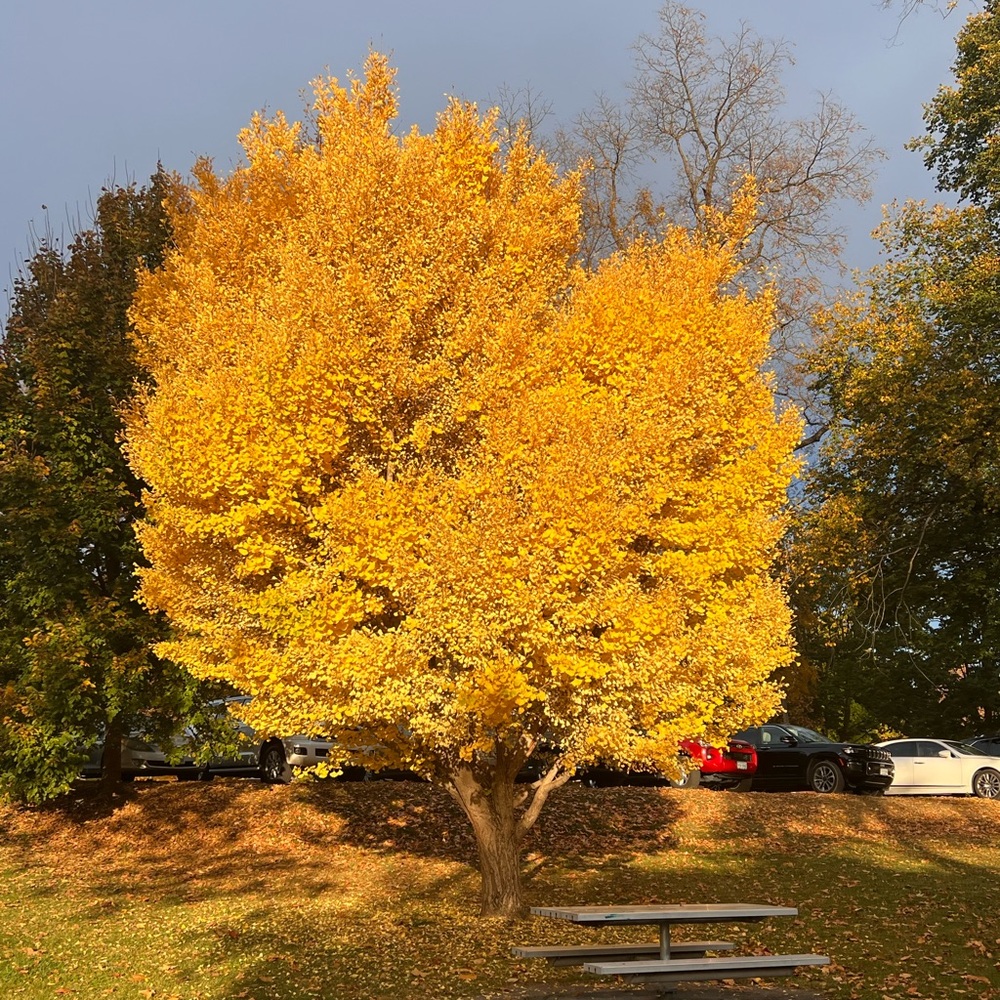 Meet your Posher, Tara